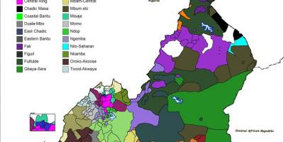 Kort over Cameroun sprog